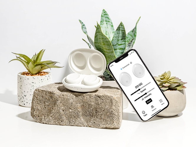 a vase of flowers on a table